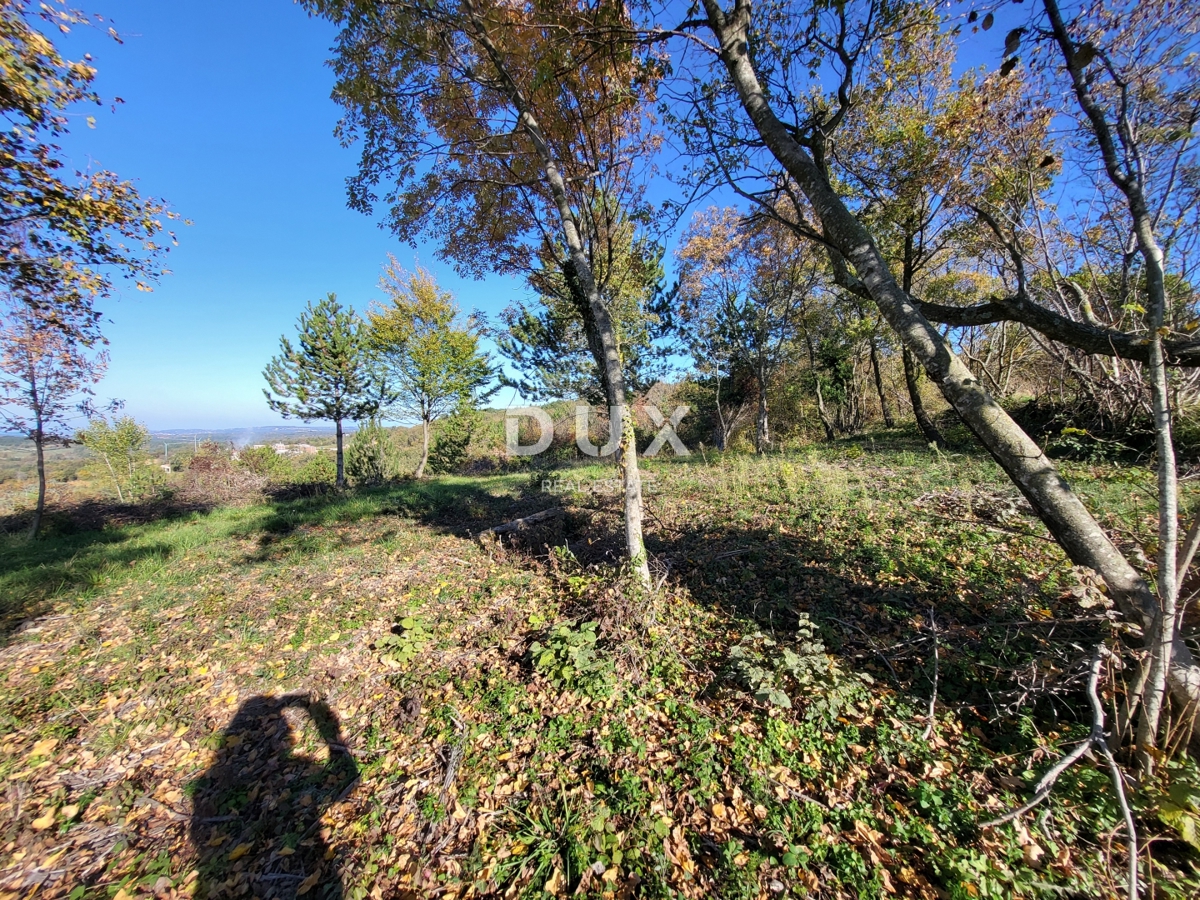 ISTRA, GROŽNJAN - Gradbeno zemljišče z odprtim pogledom na morje in okolico