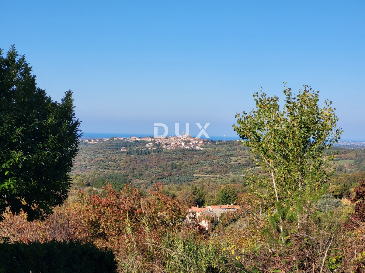 ISTRA, GROŽNJAN - Gradbeno zemljišče z odprtim pogledom na morje in okolico