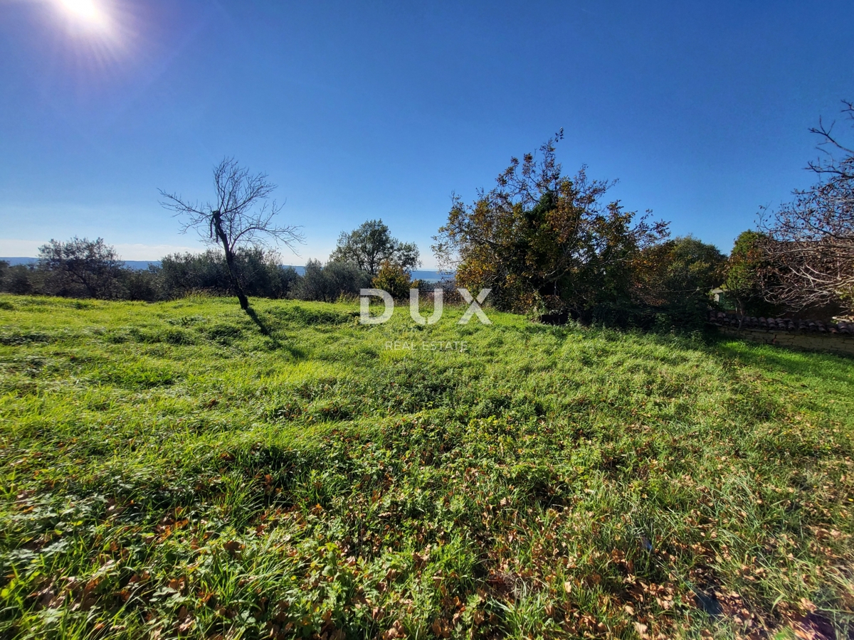 ISTRA, GROŽNJAN - Gradbeno zemljišče z odprtim pogledom na morje in okolico