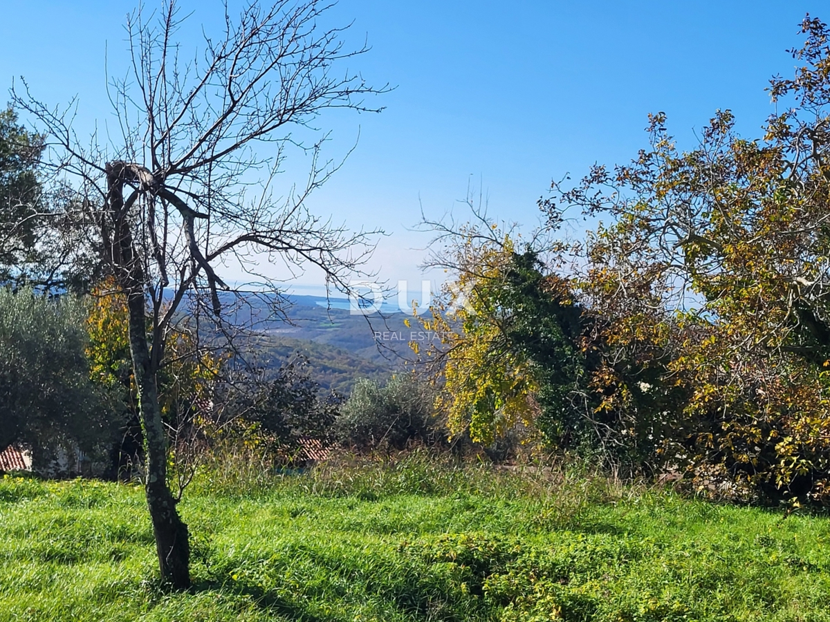 ISTRA, GROŽNJAN - Gradbeno zemljišče z odprtim pogledom na morje in okolico