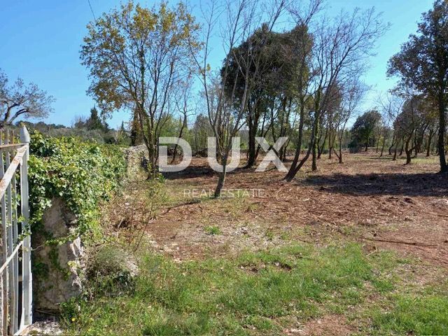 ISTRA, RAKALJ - Kmetijska zelenica na odlični lokaciji