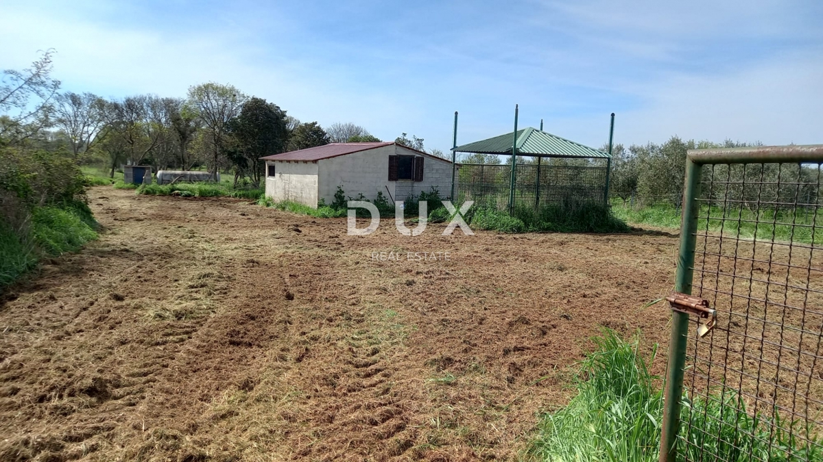 Zemljišče Šikići, Pula, 3.298m2