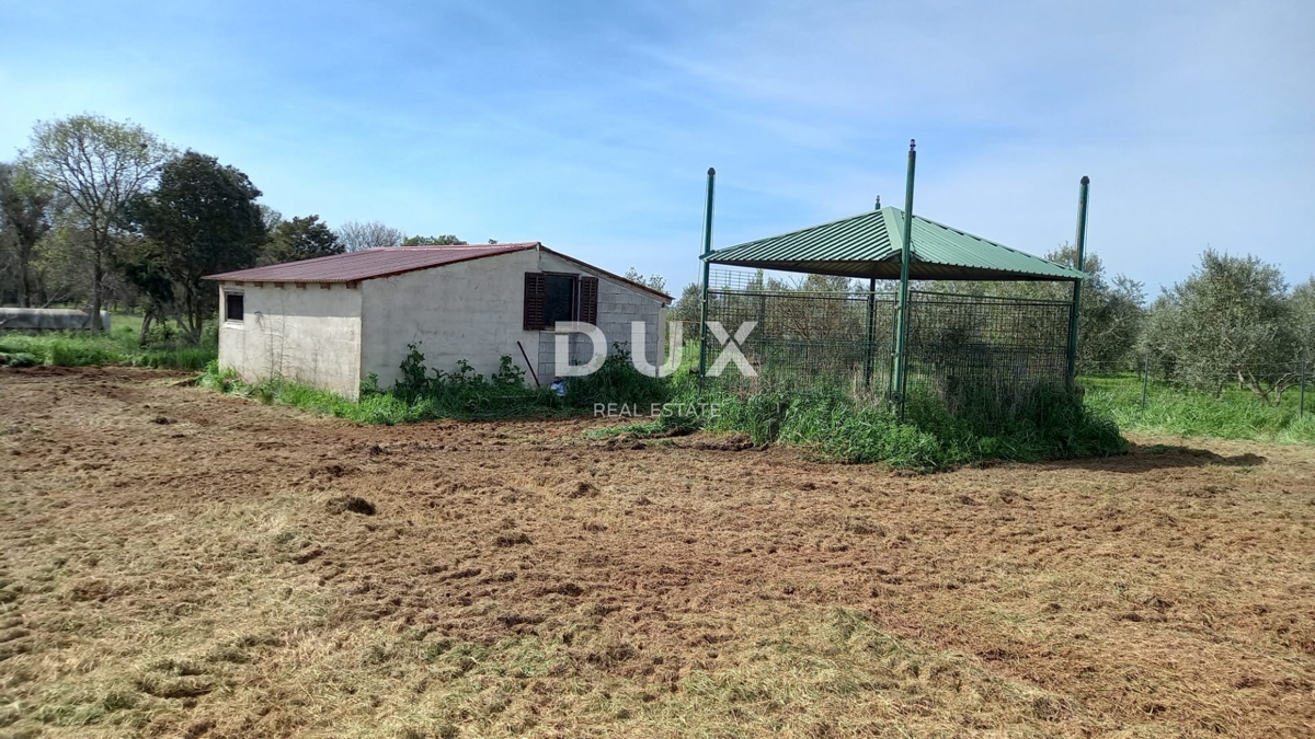 Zemljišče Šikići, Pula, 3.298m2