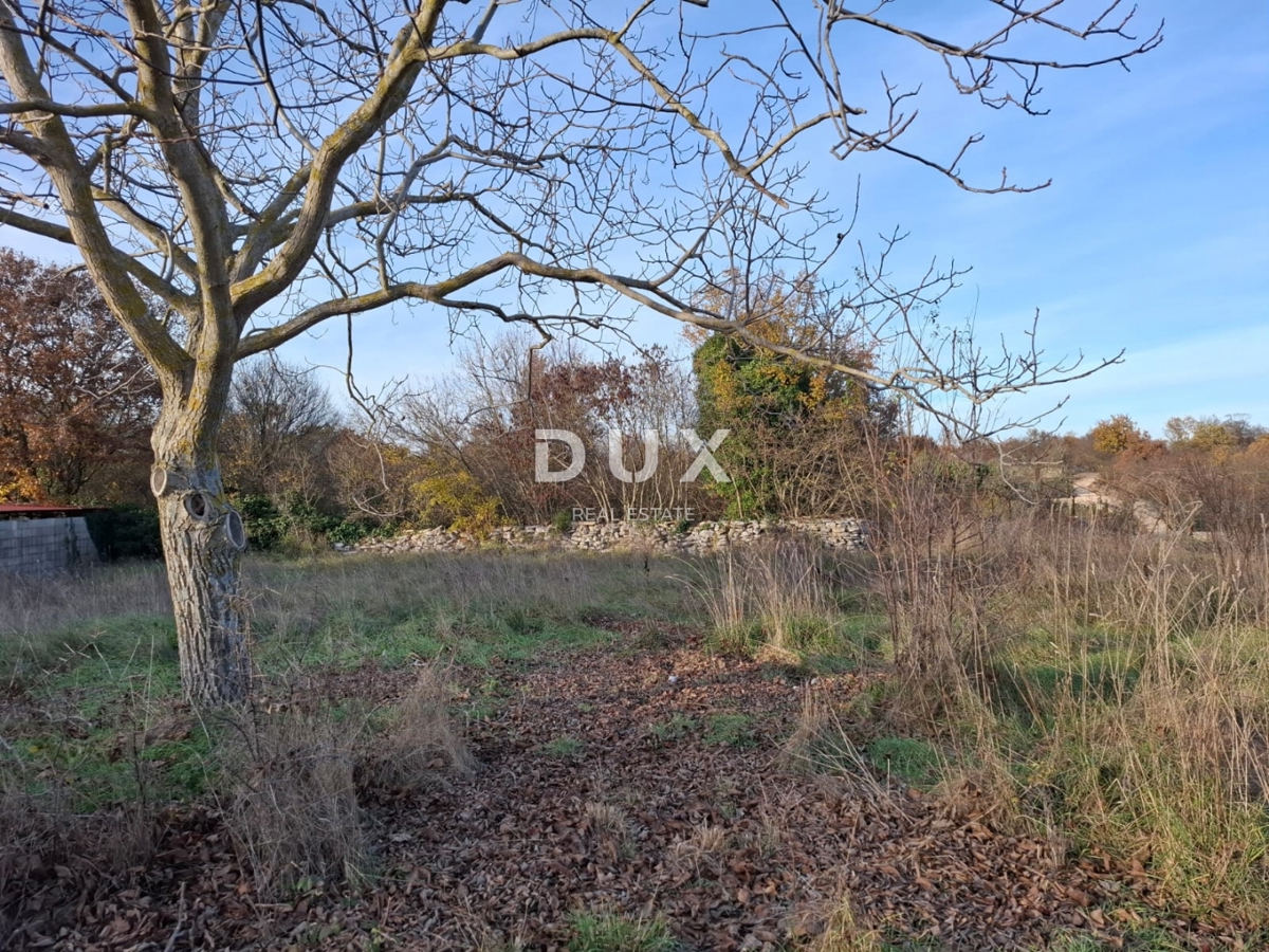 ISTRA, BALE - Gradbeno zemljišče v okolici