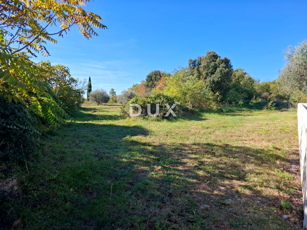 ISTRA, MARČANA - Prostorno zemljišče na robu vasi