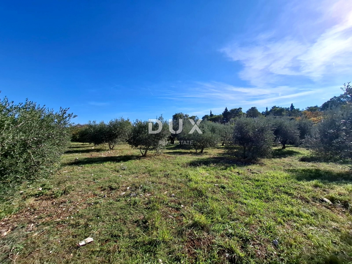 ISTRA, MARČANA - Prostorno zemljišče na robu vasi