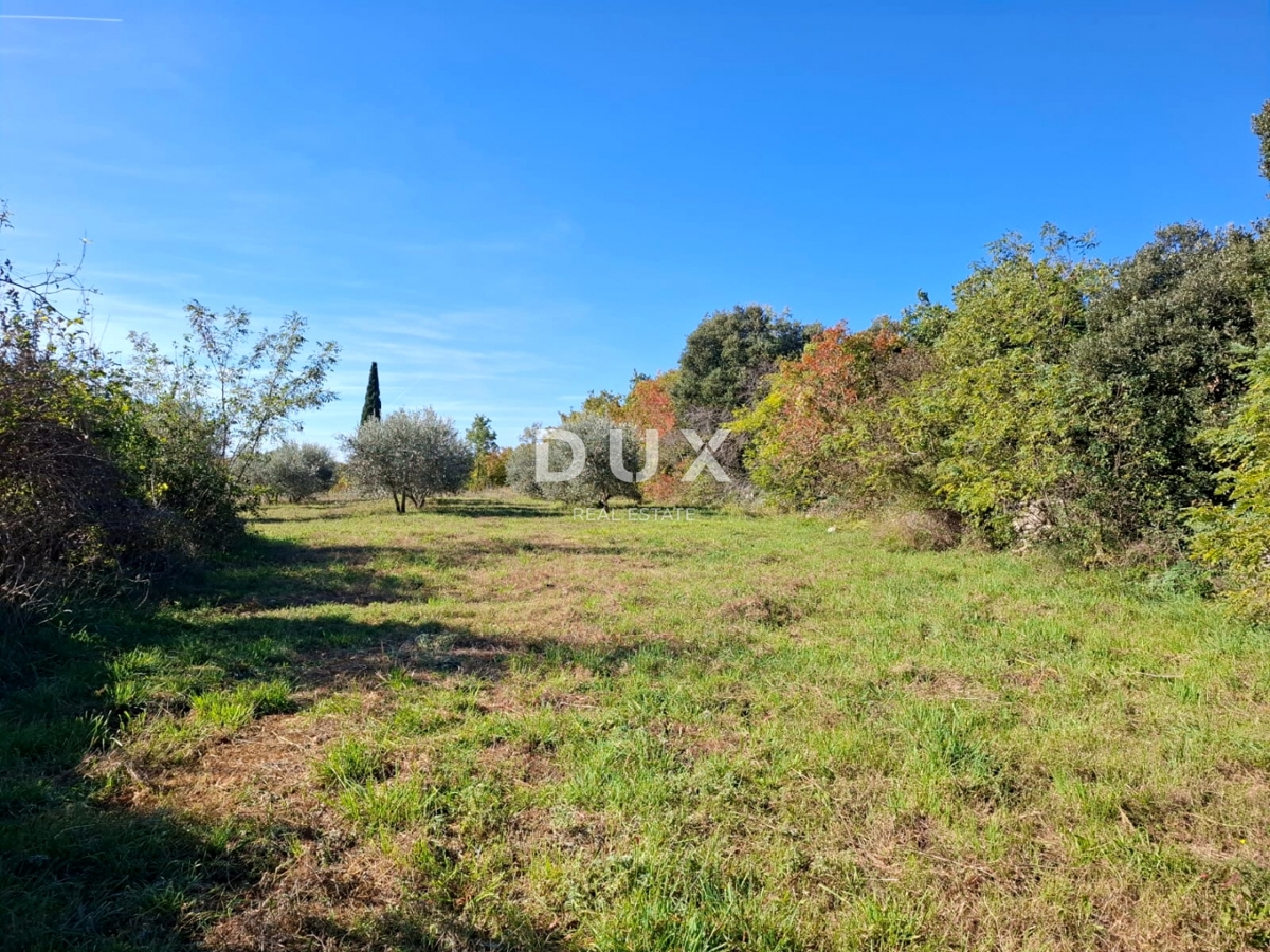 ISTRA, MARČANA - Prostorno zemljišče na robu vasi