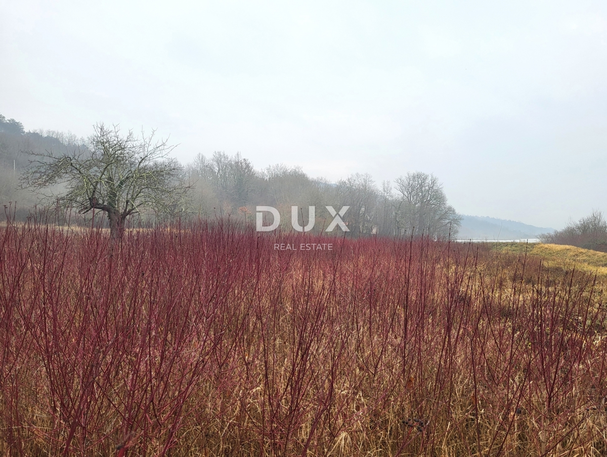 ISTRA, PIĆAN - Prostorno zazidljivo zemljišče v mirni vasi