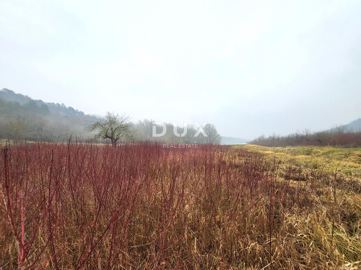 ISTRA, PIĆAN - Prostorno zazidljivo zemljišče v mirni vasi