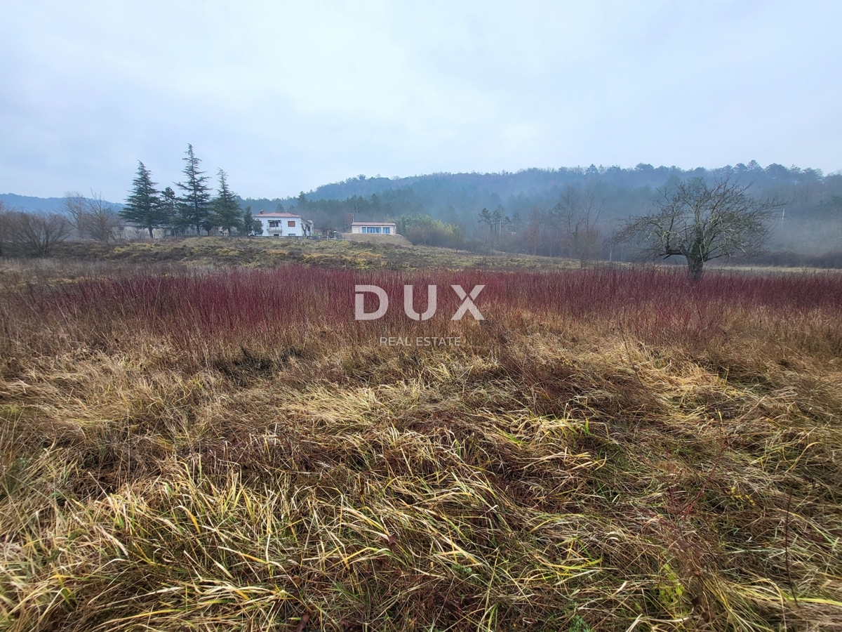 ISTRA, PIĆAN - Prostorno zazidljivo zemljišče v mirni vasi
