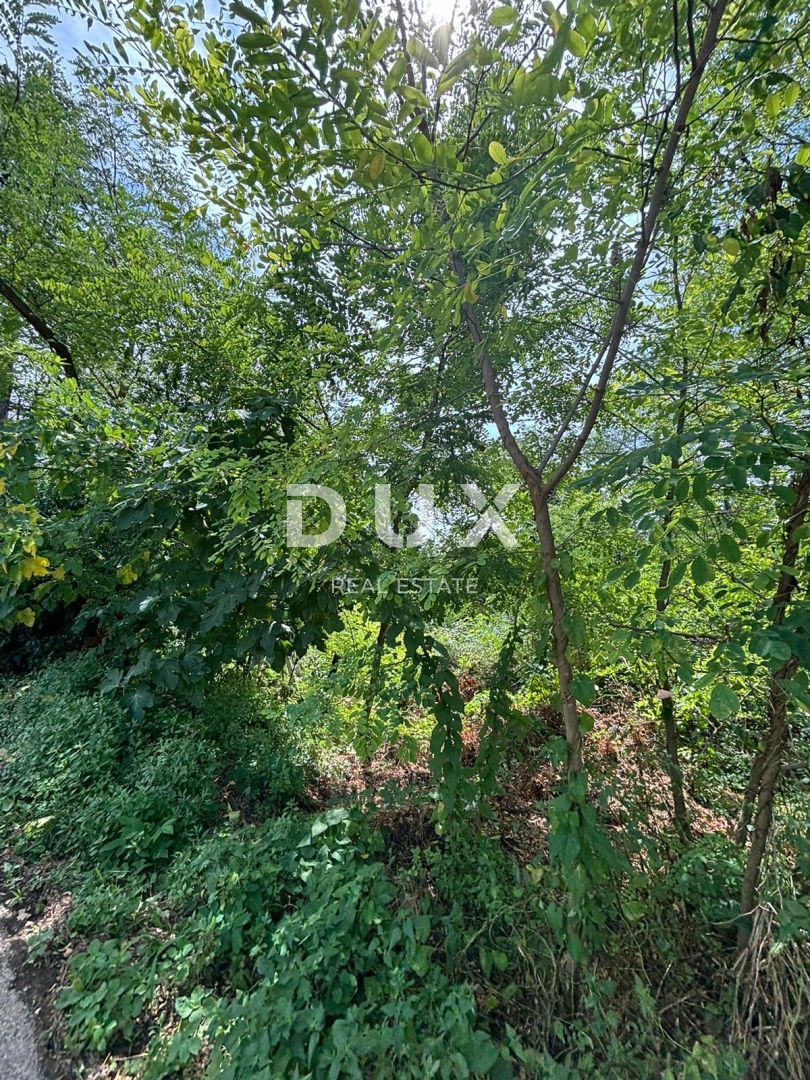 ISTRA, KANFANAR - Lepa istrska hiša + 490 m2 gradbenega zemljišča!