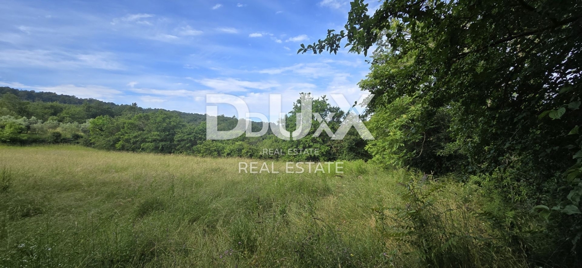 ISTRA, LABIN - Prostorna kmetijska parcela ob gradbenem območju