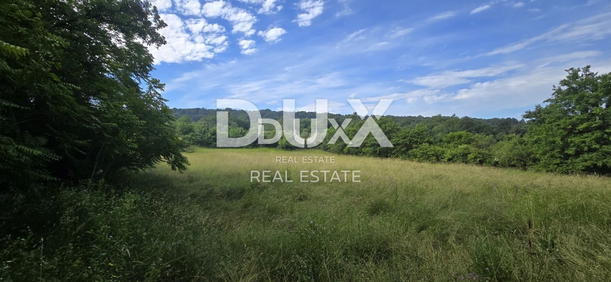 ISTRA, LABIN - Prostorna kmetijska parcela ob gradbenem območju