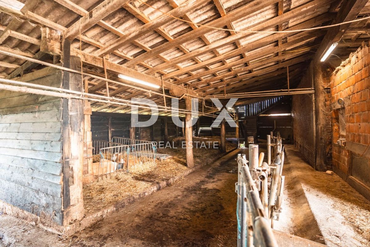 VRGINMOST, BLATUŠA - Veliko posestvo, kmetija z mehanizacijo in živalmi! 40 hektarjev zemlje!