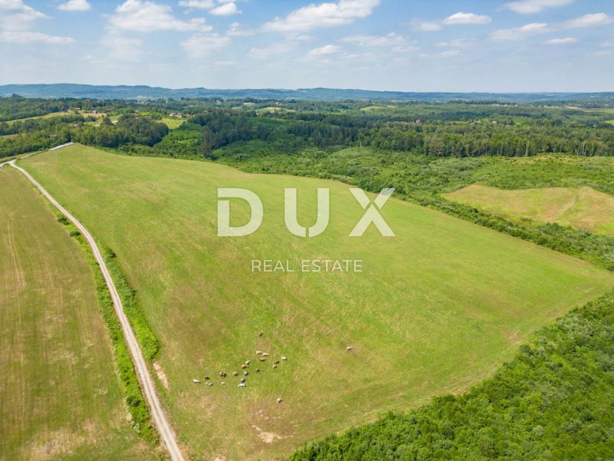 VRGINMOST, BLATUŠA - Veliko posestvo, kmetija z mehanizacijo in živalmi! 40 hektarjev zemlje!