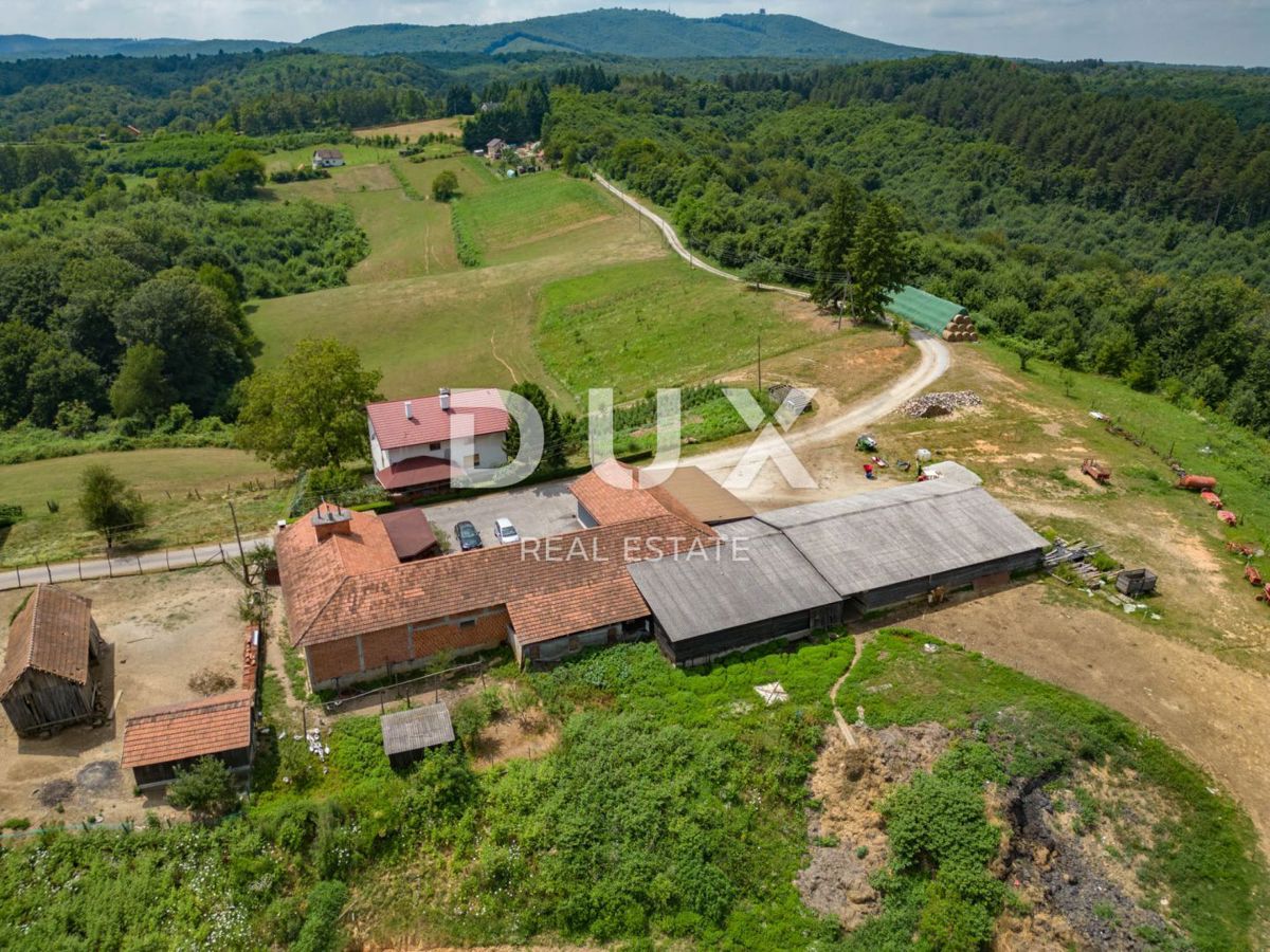 VRGINMOST, BLATUŠA - Veliko posestvo, kmetija z mehanizacijo in živalmi! 40 hektarjev zemlje!