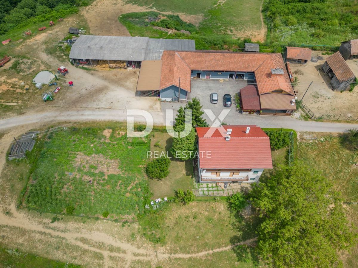 VRGINMOST, BLATUŠA - Veliko posestvo, kmetija z mehanizacijo in živalmi! 40 hektarjev zemlje!