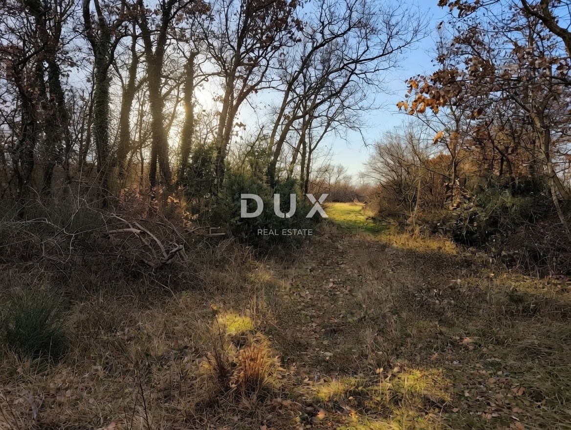 ISTRA, MARČANA – Zanimivo kmetijsko zemljišče