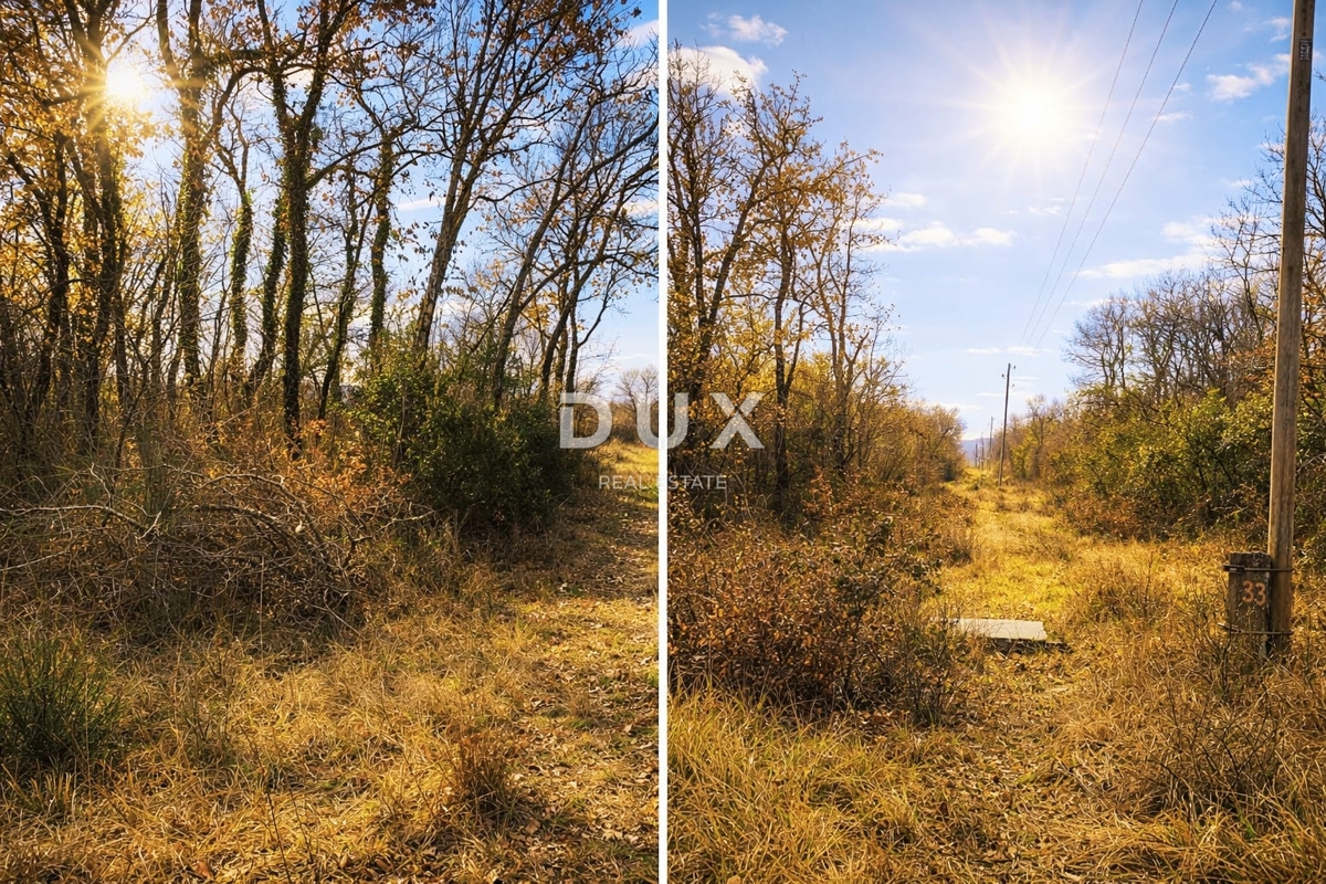 ISTRA, MARČANA – Zanimivo kmetijsko zemljišče