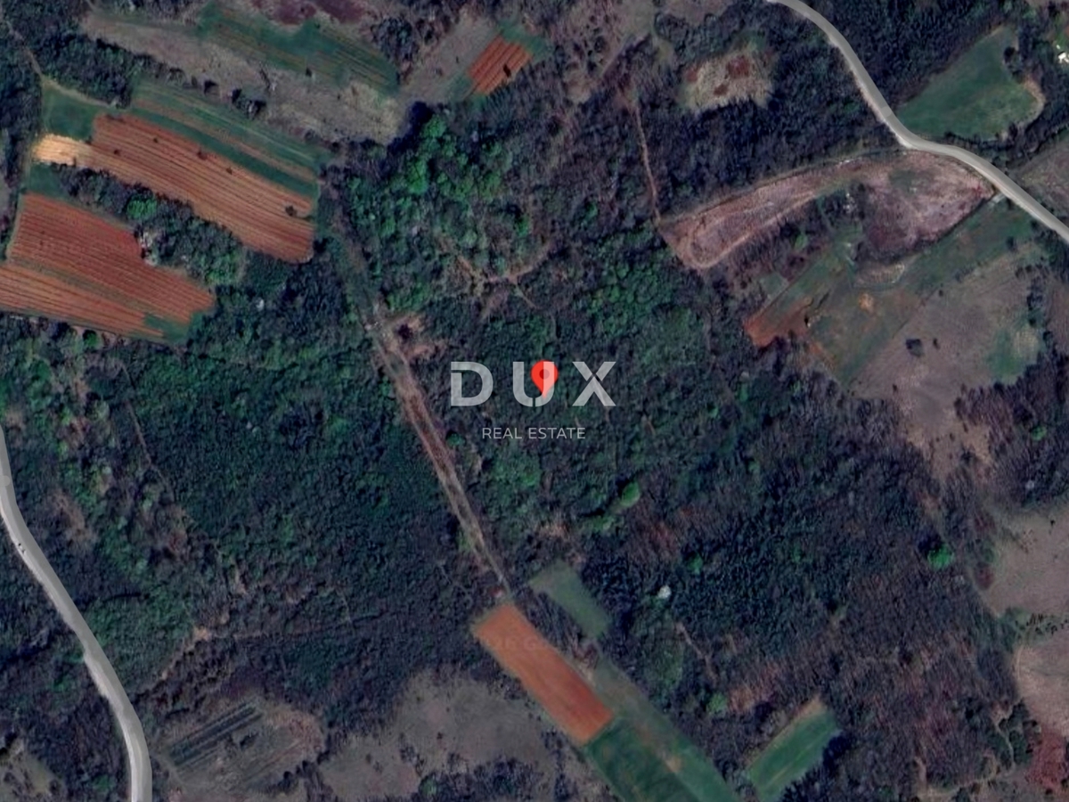 ISTRA, LABIN - Veliko gozdno zemljišče