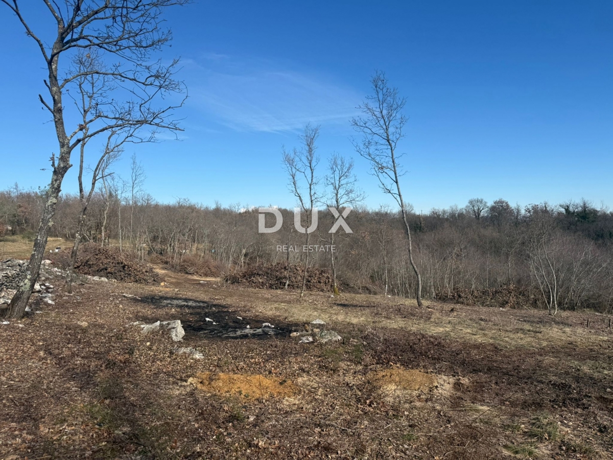 ISTRA, BARBAN - Prostorna parcela, obdana z naravo