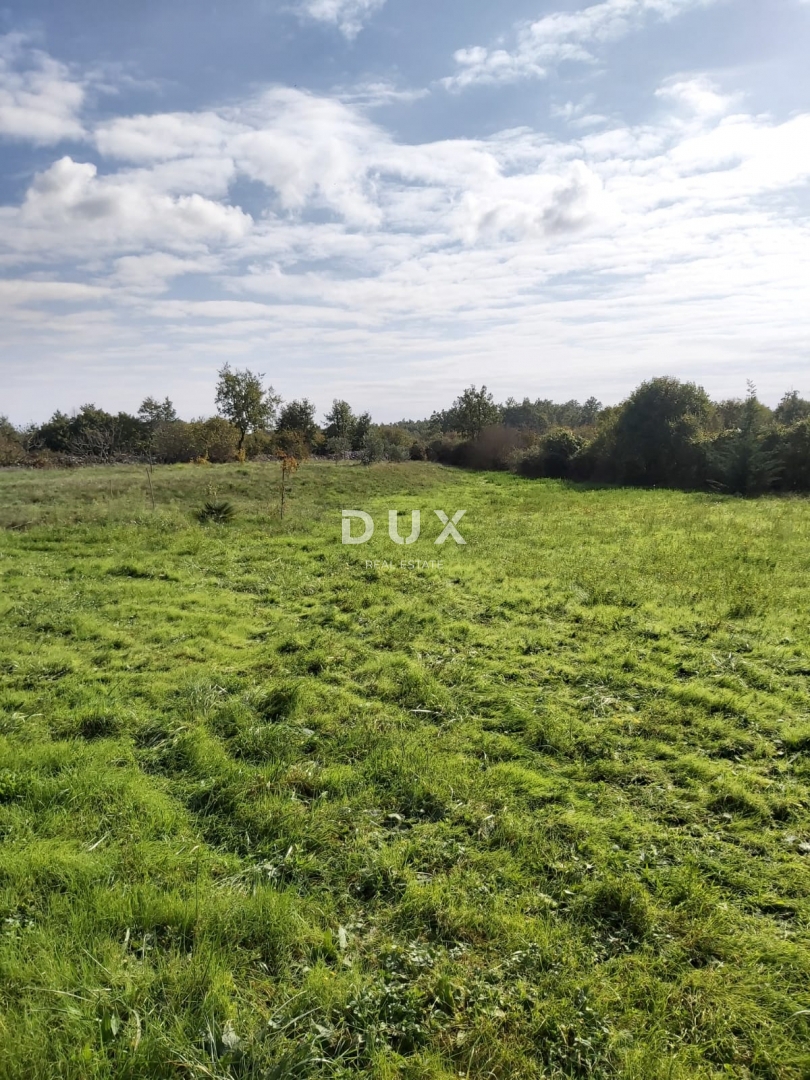 Zemljišče Žminj, 660m2