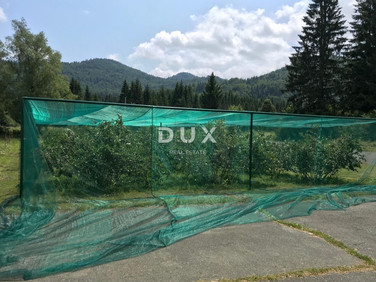 OGULIN, BJELOLASICA - odlična investicijska priložnost!