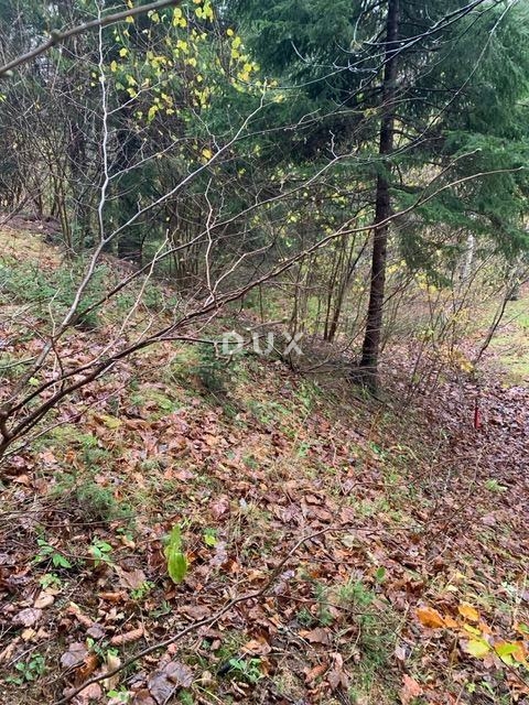 GORSKI KOTAR, HLEVCI - Prodamo zazidljivo zemljišče