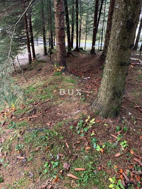 GORSKI KOTAR, HLEVCI - Prodamo zazidljivo zemljišče