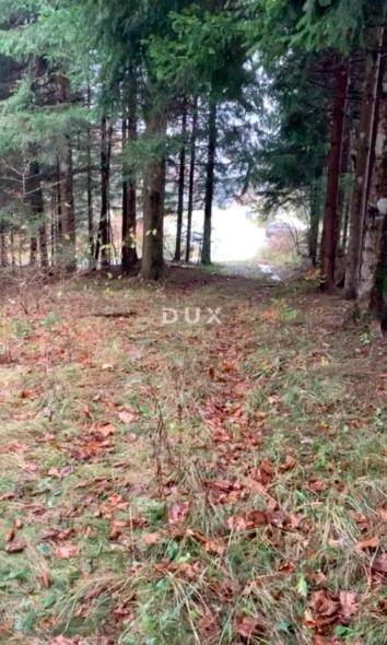 GORSKI KOTAR, HLEVCI - Prodamo zazidljivo zemljišče