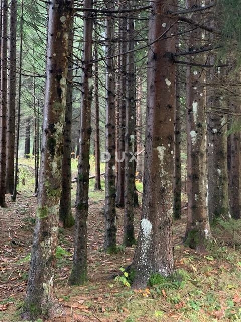 GORSKI KOTAR, HLEVCI - Prodamo zazidljivo zemljišče