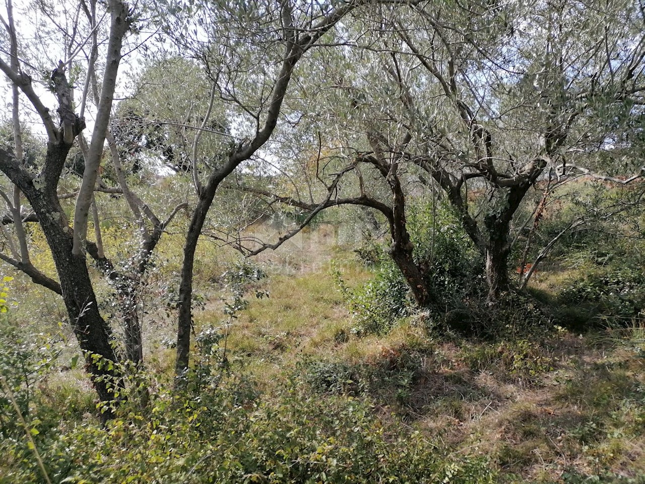 Banjole, Medulin, 2.020m2