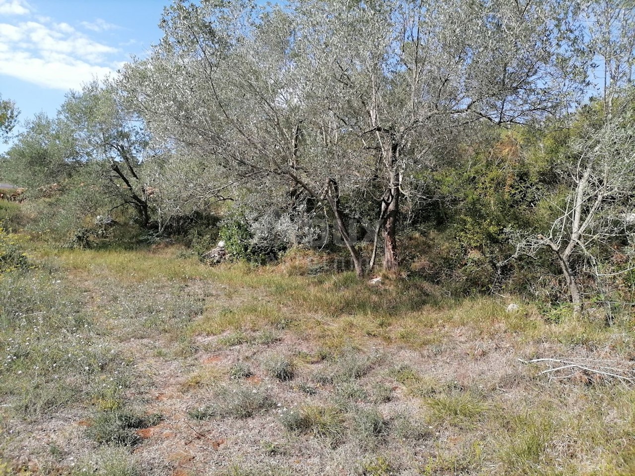 Banjole, Medulin, 2.020m2