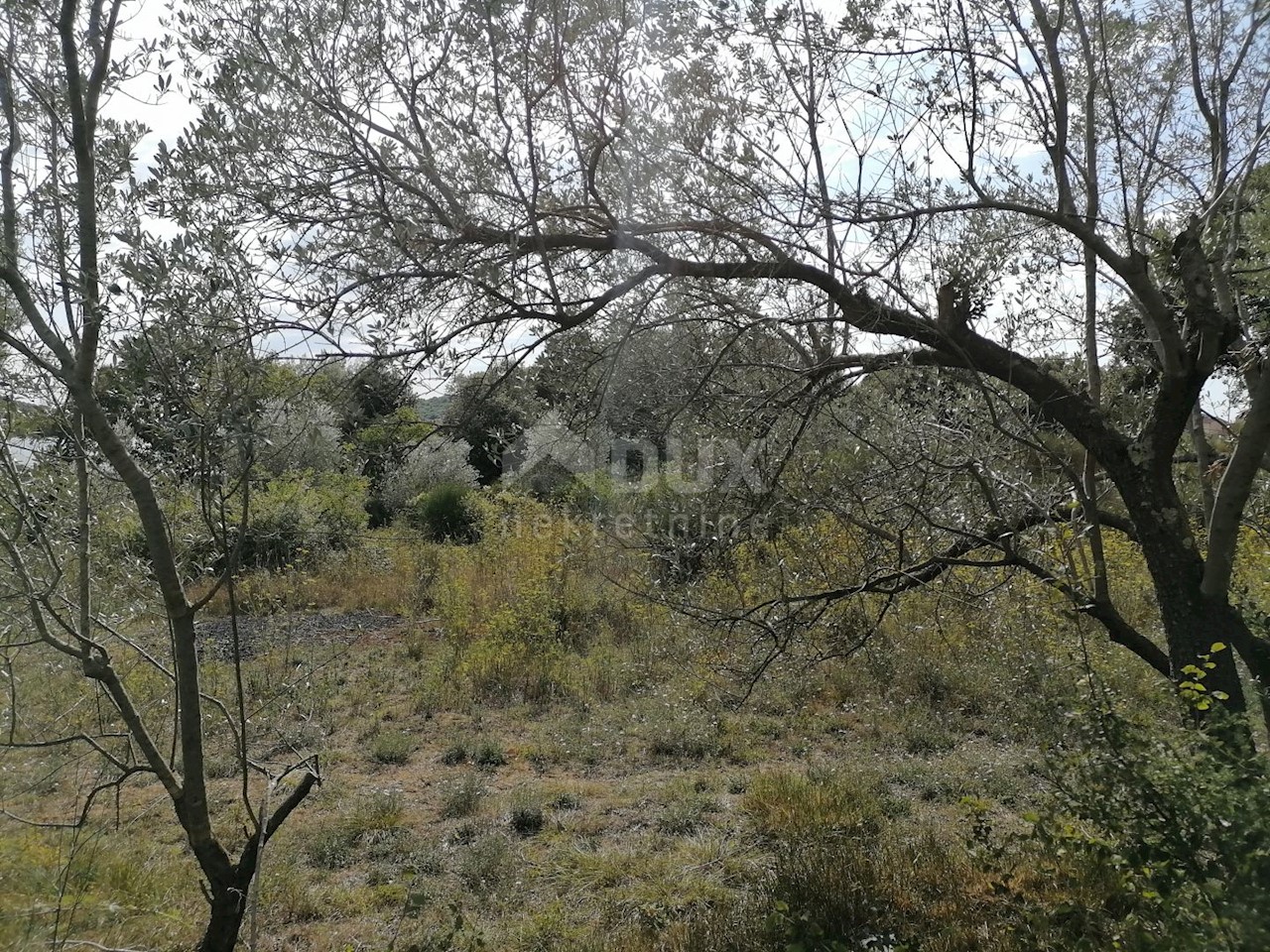 Banjole, Medulin, 2.020m2