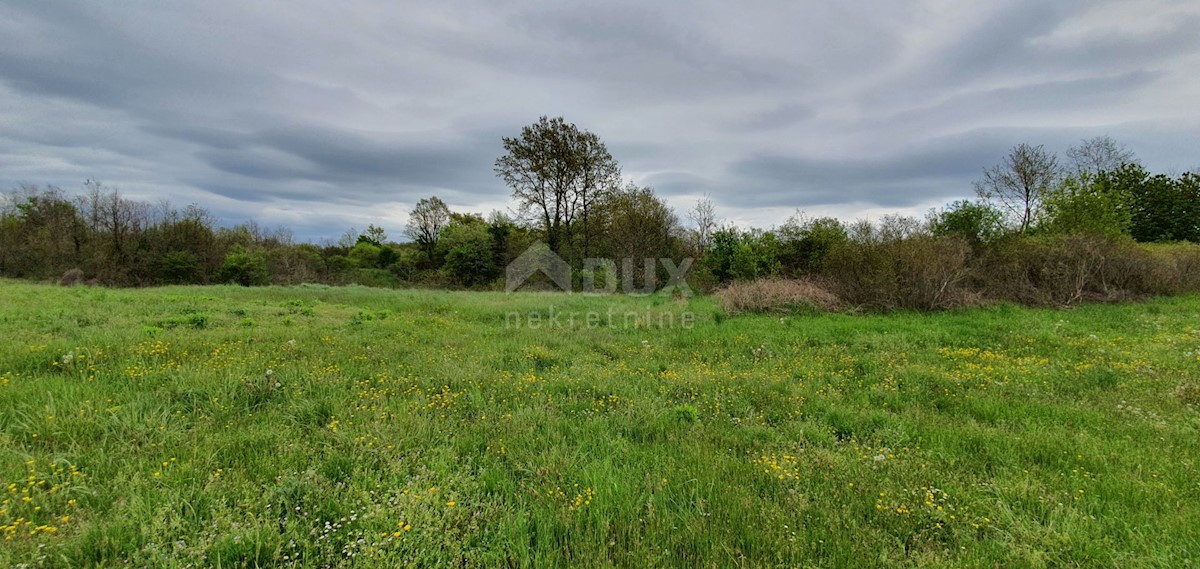 Žminj, 15.000m2