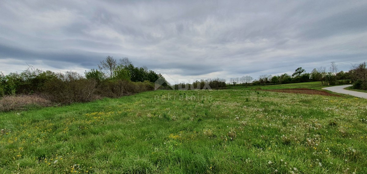 Žminj, 15.000m2