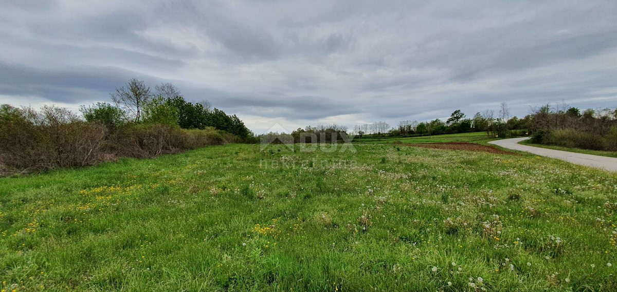 Žminj, 15.000m2