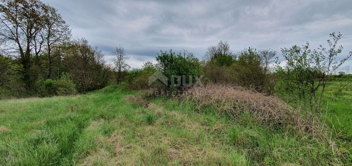 Žminj, 15.000m2