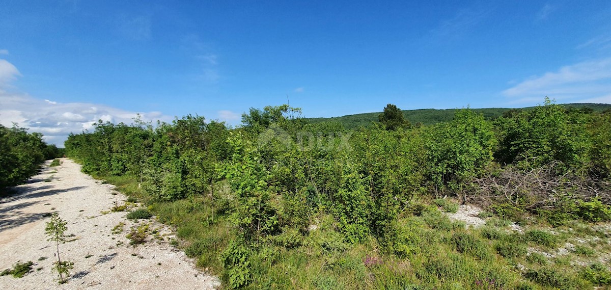 Labin, 7.884m2