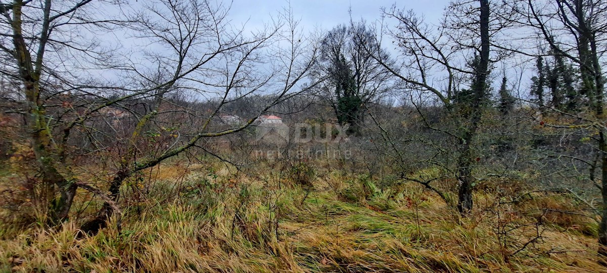 Laginji, Žminj, 2.522m2