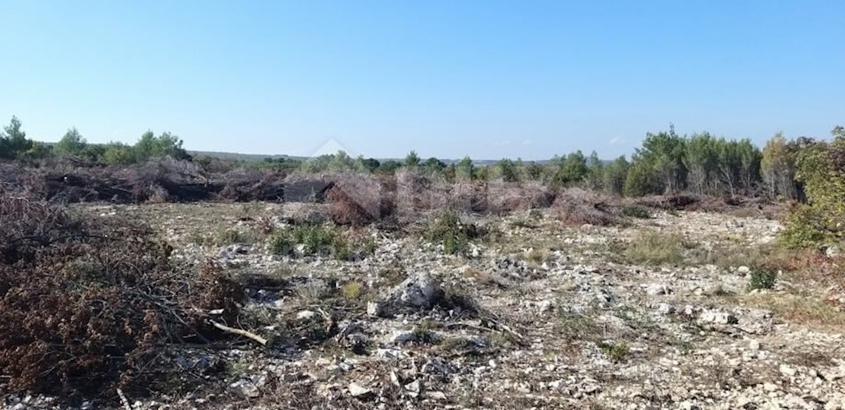 ZADAR, NOVIGRAD - Zazidljivo zemljišče s pogledom na morje