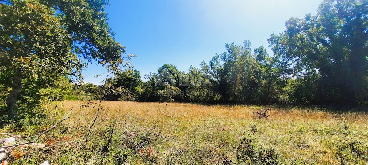 Završje, Grožnjan, 1.000m2