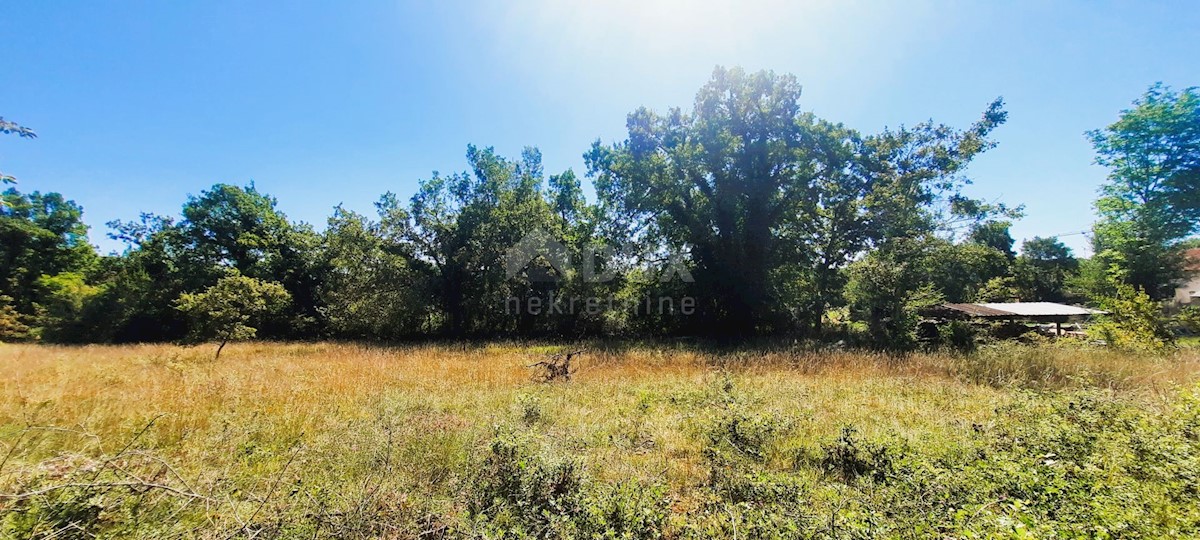 Završje, Grožnjan, 1.000m2