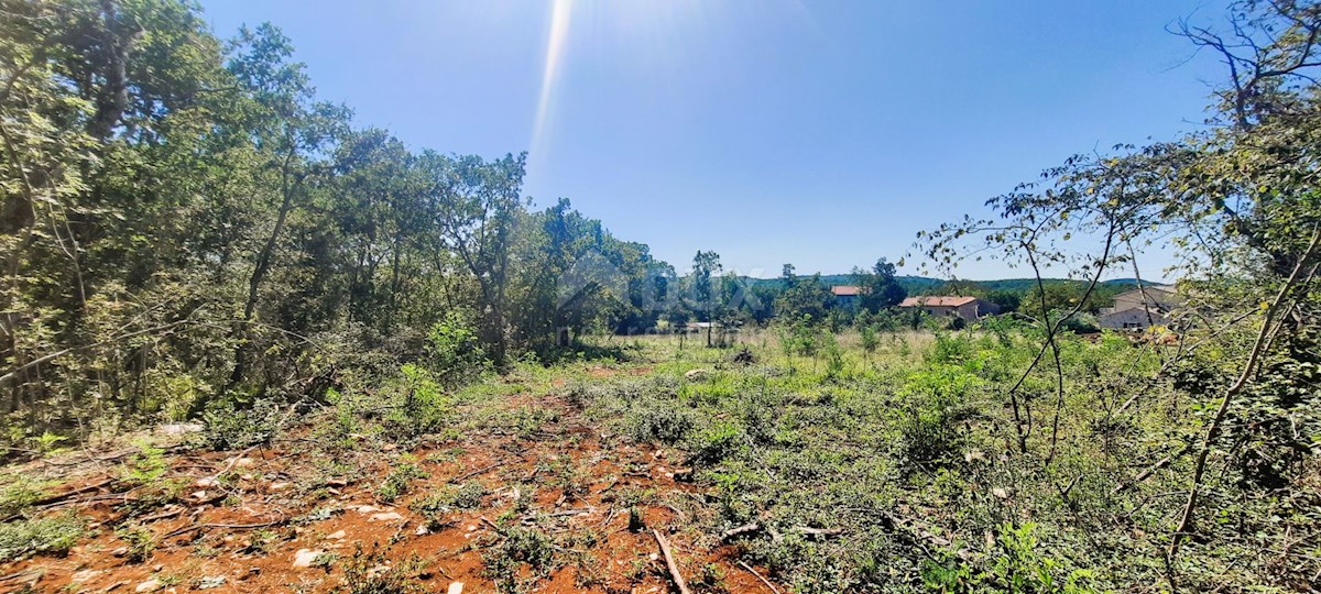 Završje, Grožnjan, 1.000m2