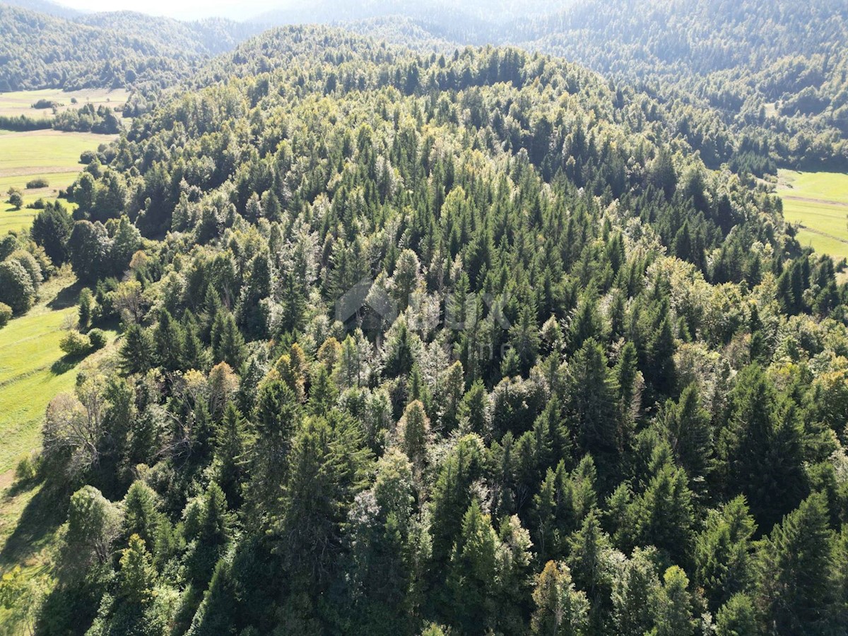 GORSKI KOTAR, SUNGER- stara hiša + 2 gospodarski poslopji + okolica 9000m2