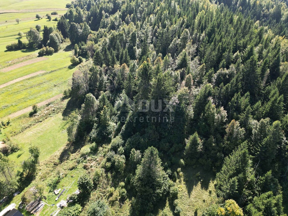 GORSKI KOTAR, SUNGER- stara hiša + 2 gospodarski poslopji + okolica 9000m2