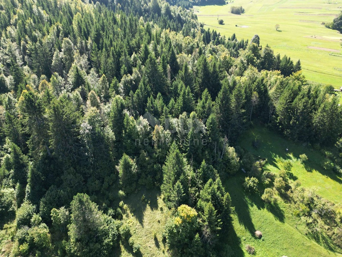 GORSKI KOTAR, SUNGER- stara hiša + 2 gospodarski poslopji + okolica 9000m2