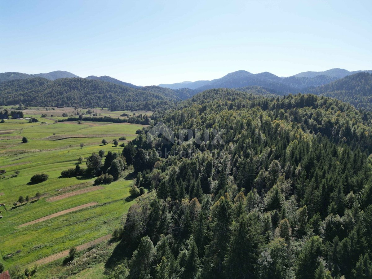 GORSKI KOTAR, SUNGER- stara hiša + 2 gospodarski poslopji + okolica 9000m2