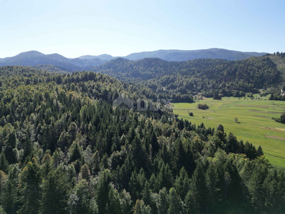 GORSKI KOTAR, SUNGER- stara hiša + 2 gospodarski poslopji + okolica 9000m2