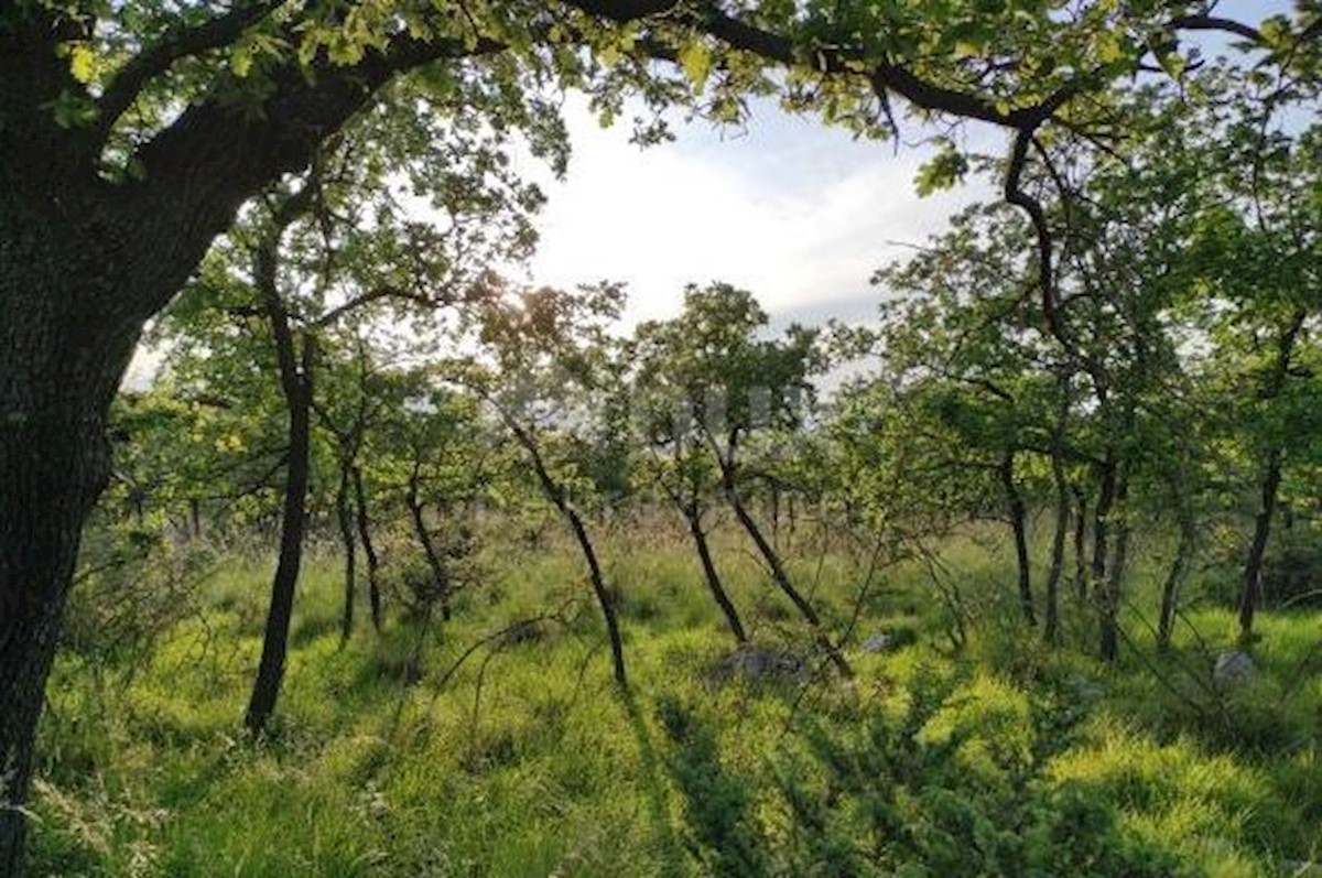 Murvica, Poličnik, 4.500m2